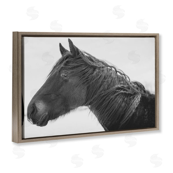 Stupell Industries Amy Carroll | Draisma Winter Herd Portrait