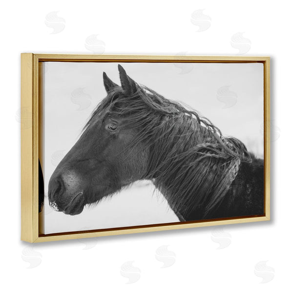 Stupell Industries Amy Carroll | Draisma Winter Herd Portrait