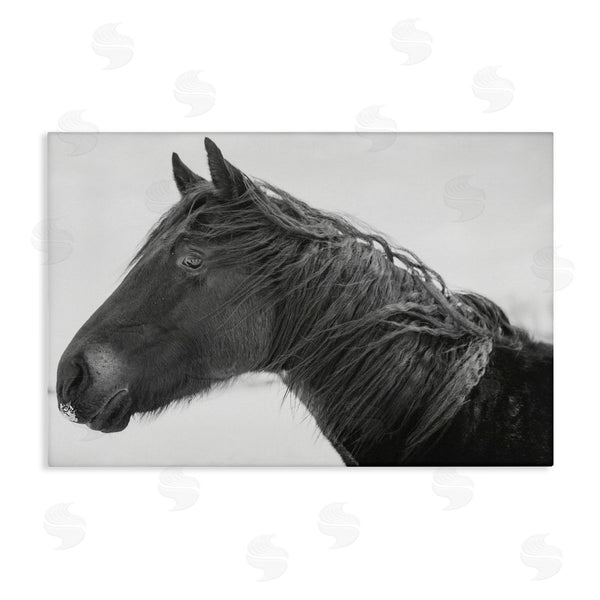 stupell industries Amy Carroll | Draisma Winter Herd Portrait