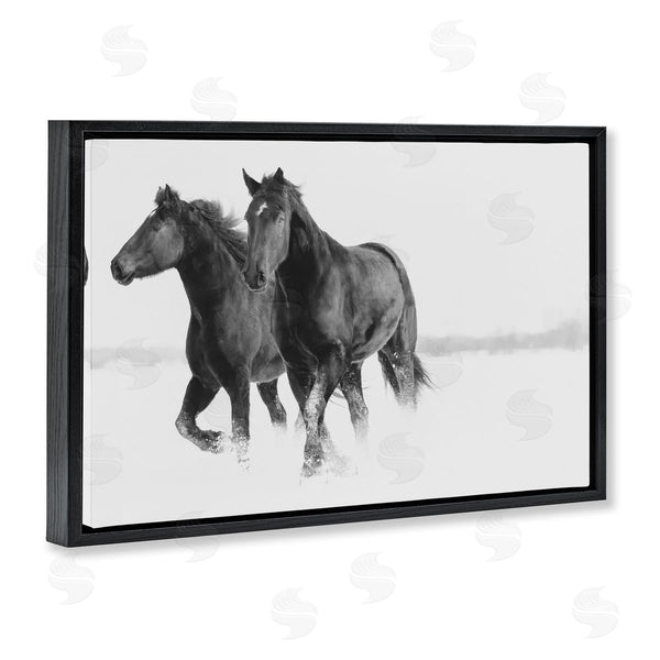 Stupell Industries Amy Carroll | Galloping Winter Horses