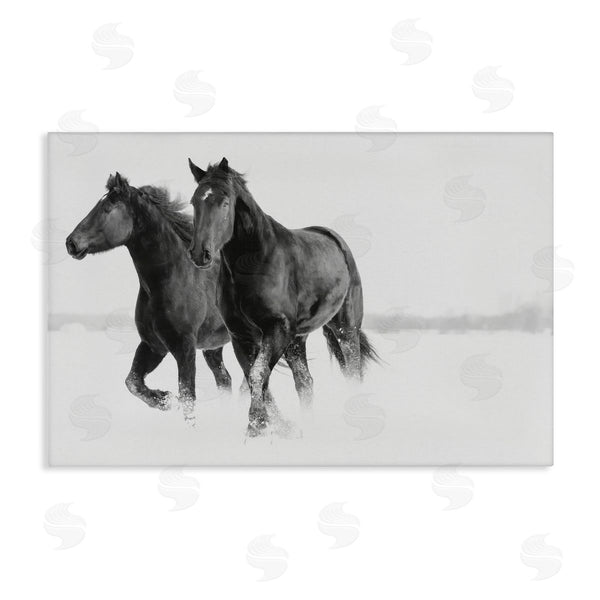 stupell industries Amy Carroll | Galloping Winter Horses