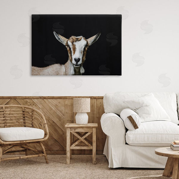 Stupell Industries Amy Carroll | Goat Face Over Black Wall Art