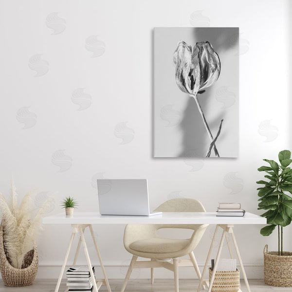 Stupell Industries Amy Carroll | Pale Requiem Tulip Wall Art