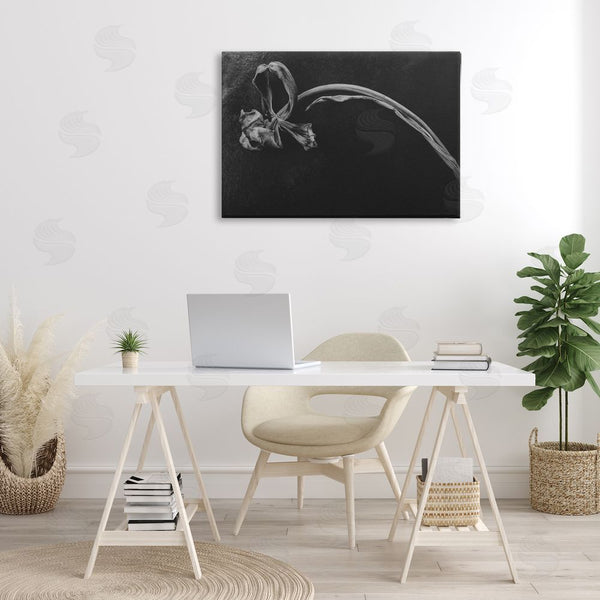Stupell Industries Amy Carroll | Soft Collapse Flower Wall Art