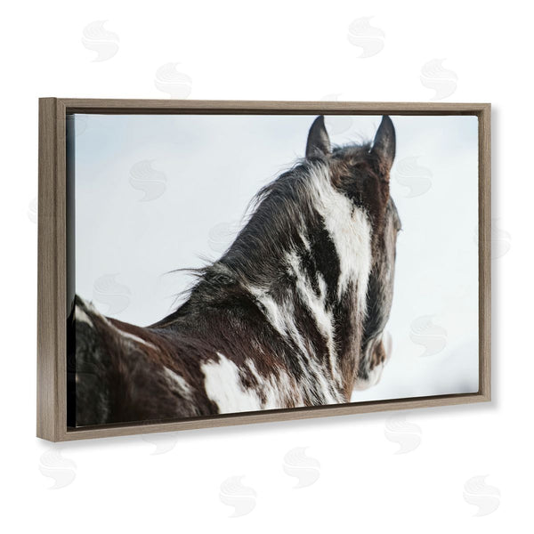 Stupell Industries Amy Carroll | Winter Herd Horse Portrait