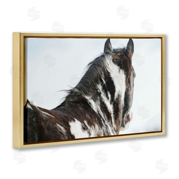 Stupell Industries Amy Carroll | Winter Herd Horse Portrait