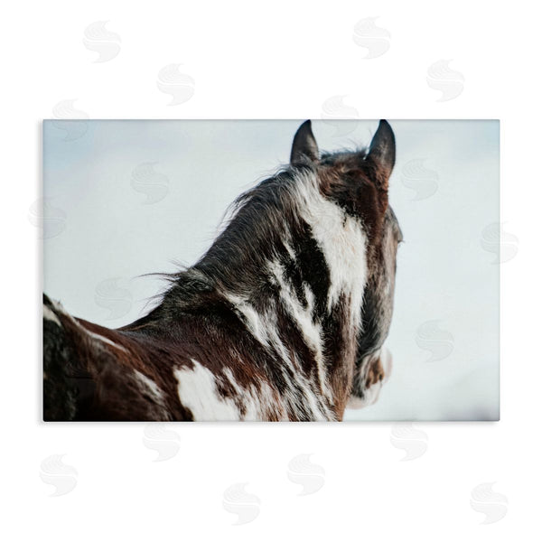 stupell industries Amy Carroll | Winter Herd Horse Portrait