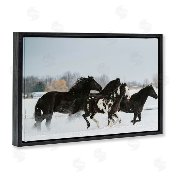 Stupell Industries Amy Carroll | Winter Herd Of Horses
