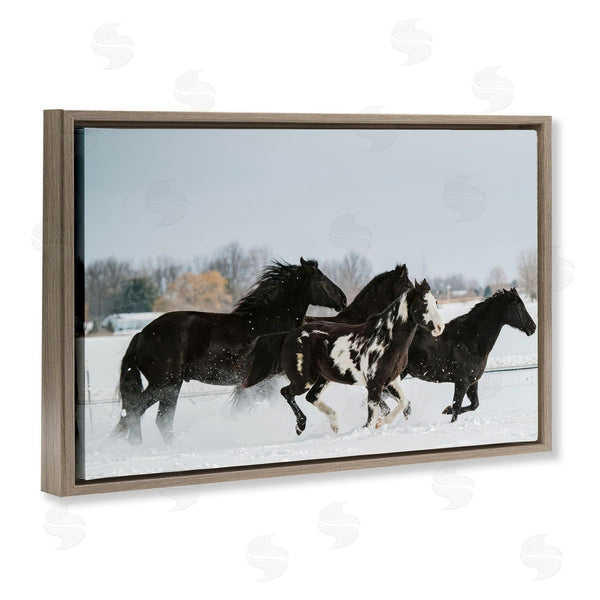 Stupell Industries Amy Carroll | Winter Herd Of Horses