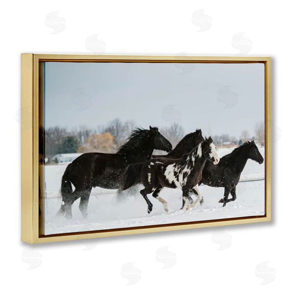 Stupell Industries Amy Carroll | Winter Herd Of Horses