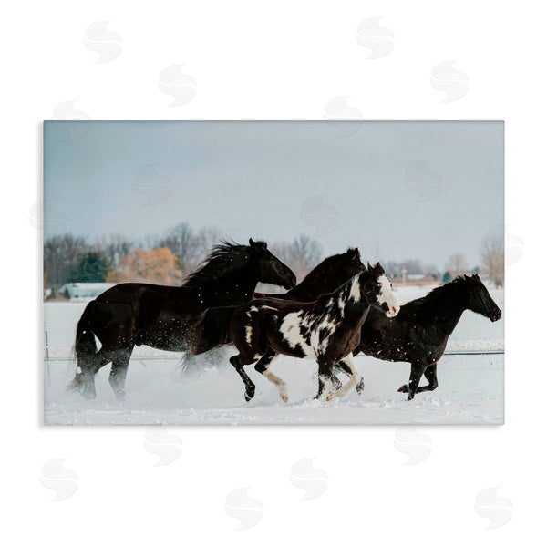 stupell industries Amy Carroll | Winter Herd of Horses
