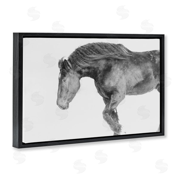 Stupell Industries Amy Carroll | Winter Stallion Gallop