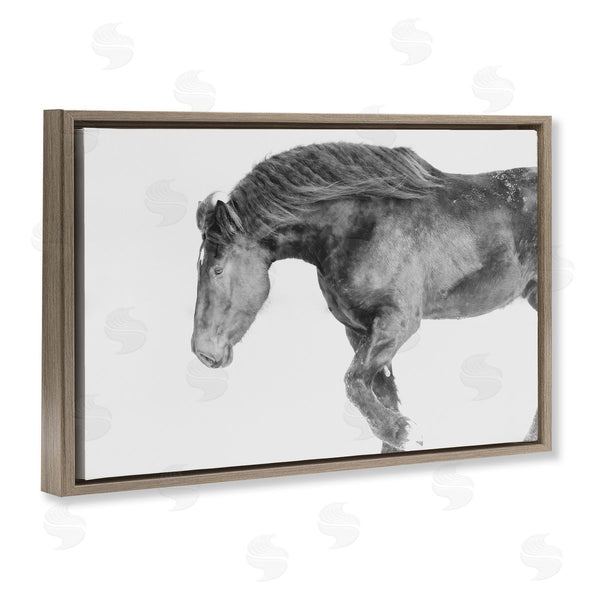 Stupell Industries Amy Carroll | Winter Stallion Gallop