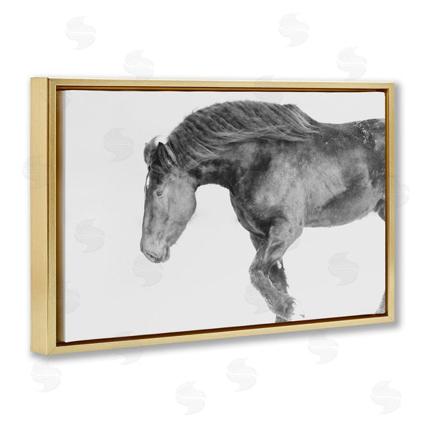 Stupell Industries Amy Carroll | Winter Stallion Gallop