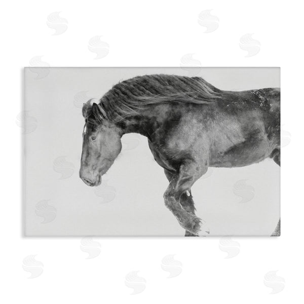 stupell industries Amy Carroll | Winter Stallion Gallop