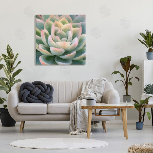 Stupell Industries Amy Hall | Green Succulent Petals Wall Art
