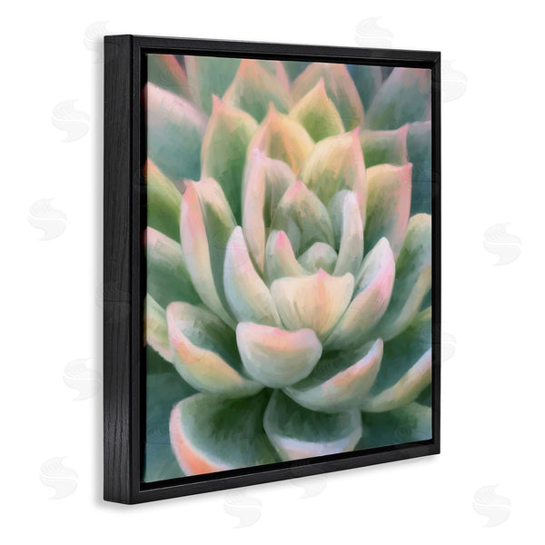 Stupell Industries Amy Hall | Green Succulent Petals Wall Art