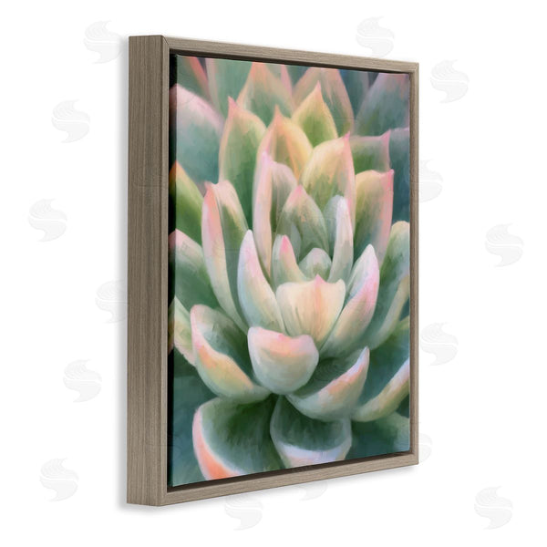 Stupell Industries Amy Hall | Green Succulent Petals Wall Art