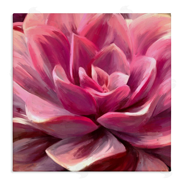stupell industries Amy Hall | Pink Succulent Leaves Wall Art