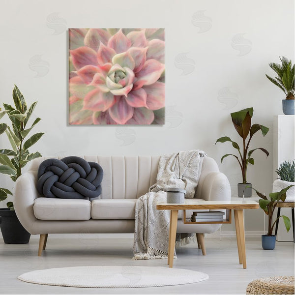 Stupell Industries Amy Hall | Pink Symmetrical Succulent Wall Art
