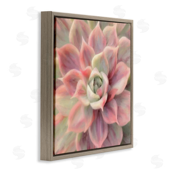 Stupell Industries Amy Hall | Pink Symmetrical Succulent Wall Art