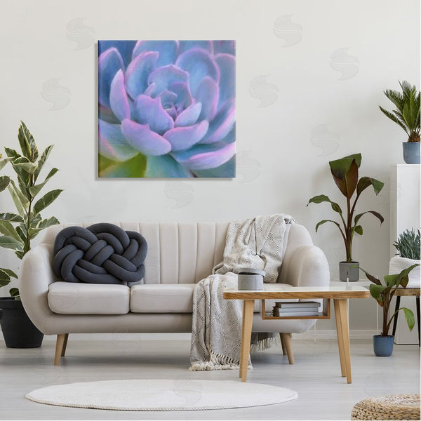 Stupell Industries Amy Hall | Purple Modern Succulent Wall Art