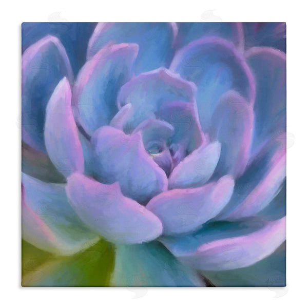 stupell industries Amy Hall | Purple Modern Succulent Wall Art