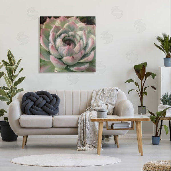 Stupell Industries Amy Hall | Succulent Leaves Close Up Wall Art
