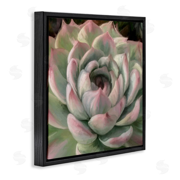 Stupell Industries Amy Hall | Succulent Leaves Close Up Wall Art