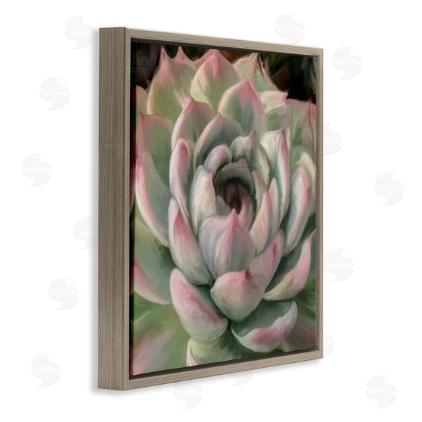 Stupell Industries Amy Hall | Succulent Leaves Close Up Wall Art