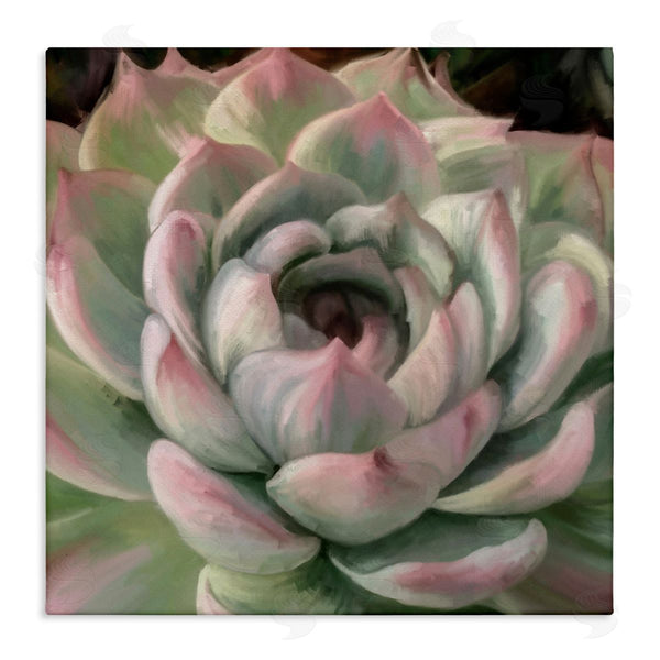 stupell industries Amy Hall | Succulent Leaves Close Up Wall Art