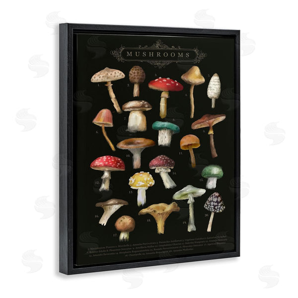 Stupell Industries Amylee Weeks | Dark Informative Mushroom Chart Wall Art