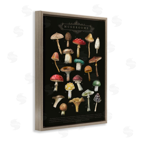 Stupell Industries Amylee Weeks | Dark Informative Mushroom Chart Wall Art