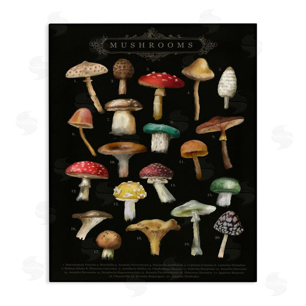 stupell industries Amylee Weeks | Dark Informative Mushroom Chart Wall Art