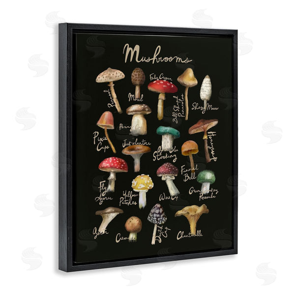 Stupell Industries Amylee Weeks | Varied Mushrooms Kitchen Chart Wall Art