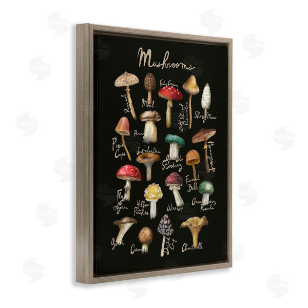 Stupell Industries Amylee Weeks | Varied Mushrooms Kitchen Chart Wall Art
