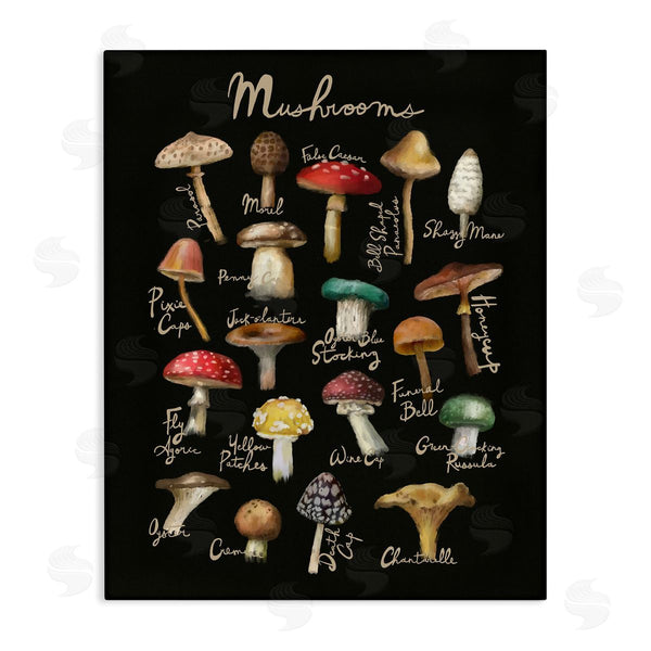 stupell industries Amylee Weeks | Varied Mushrooms Kitchen Chart Wall Art