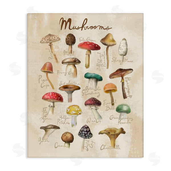stupell industries Amylee Weeks | Vintage Mushroom Types Diagram Wall Art