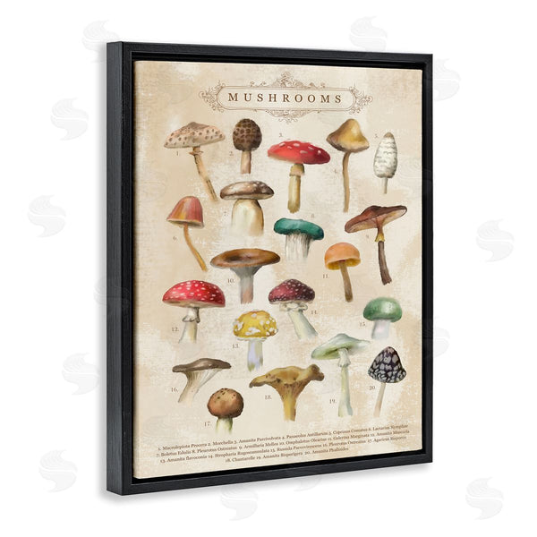 Stupell Industries Amylee Weeks | Vintage Mushrooms Nature Studies Wall Art