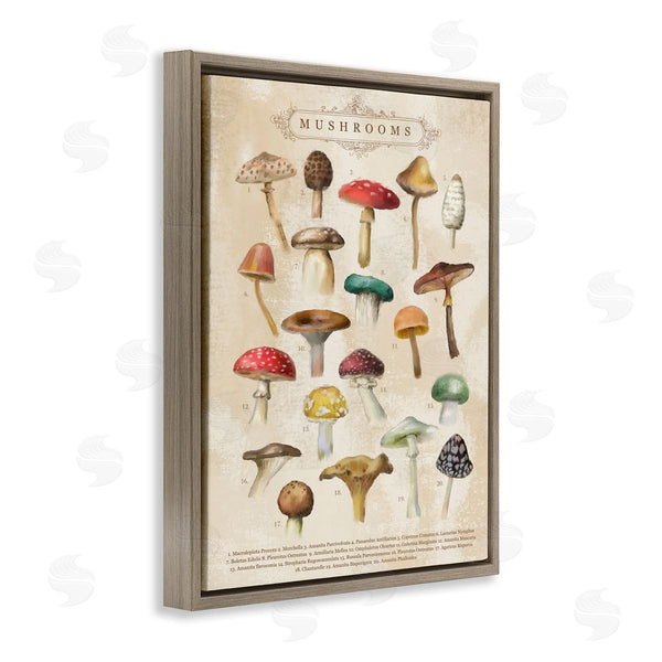 Stupell Industries Amylee Weeks | Vintage Mushrooms Nature Studies Wall Art
