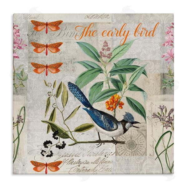 stupell industries Andrea Haase | Early Bird Vintage Nature