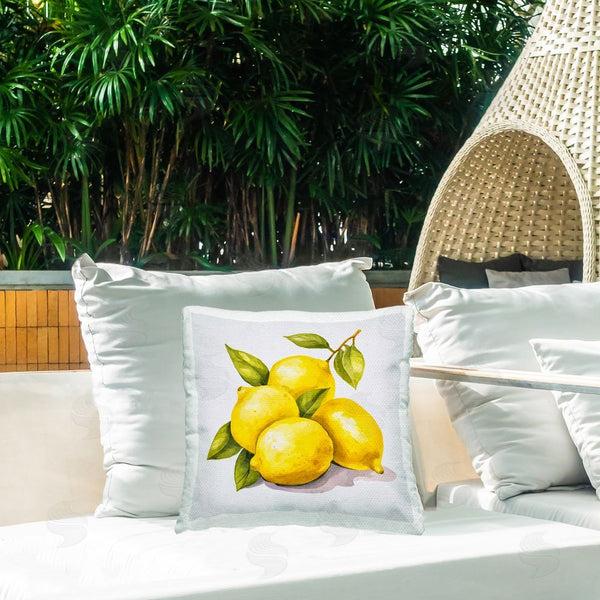 Stupell Industries Andrea Haase | Lemon Delights Fruit Printed Throw Pillow