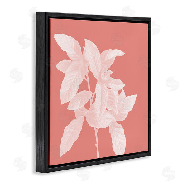 Stupell Industries Andrea Haase | Pink & White Botanical