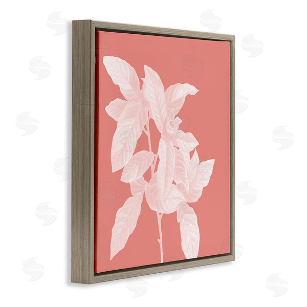 Stupell Industries Andrea Haase | Pink & White Botanical