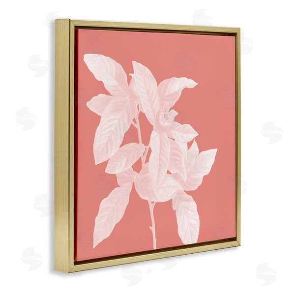 Stupell Industries Andrea Haase | Pink & White Botanical
