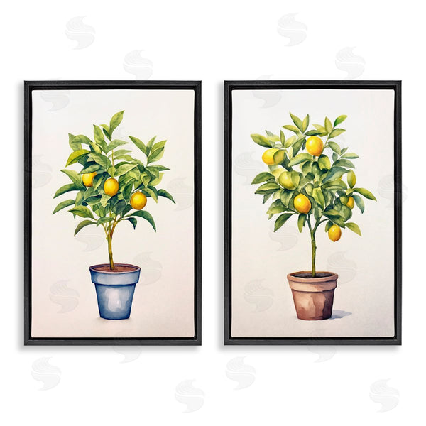 Stupell Industries Andrea Haase | Potted Citrus Serenade