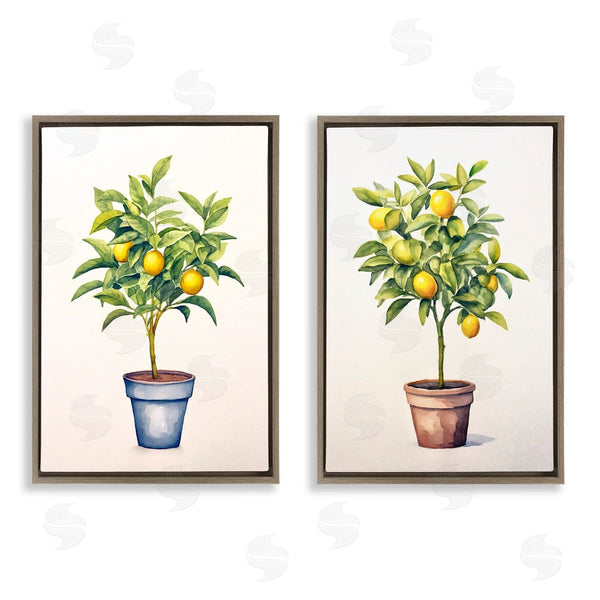 Stupell Industries Andrea Haase | Potted Citrus Serenade