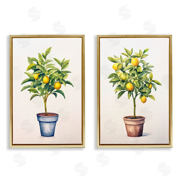 Stupell Industries Andrea Haase | Potted Citrus Serenade