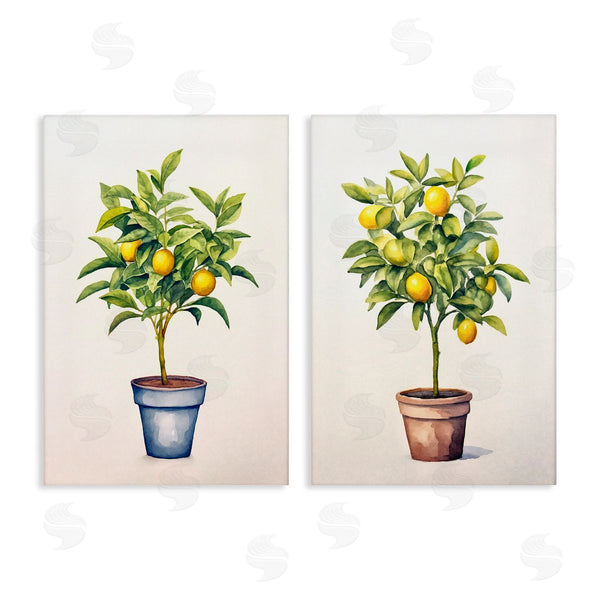 stupell industries Andrea Haase | Potted Citrus Serenade