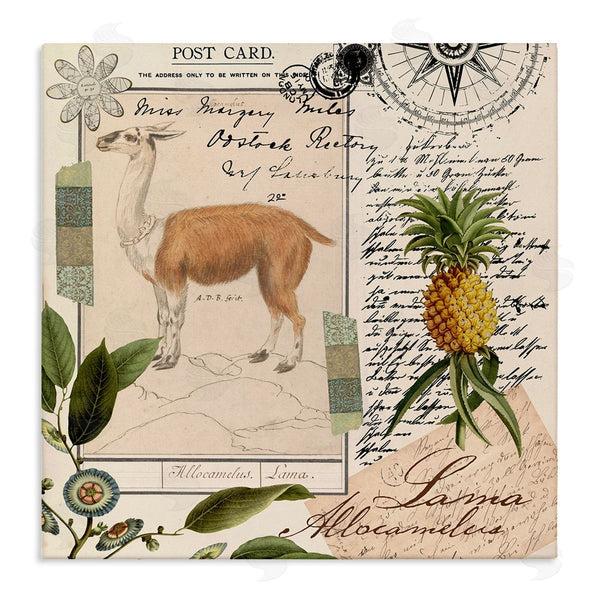 stupell industries Andrea Haase | Vintage Antelope Postcard